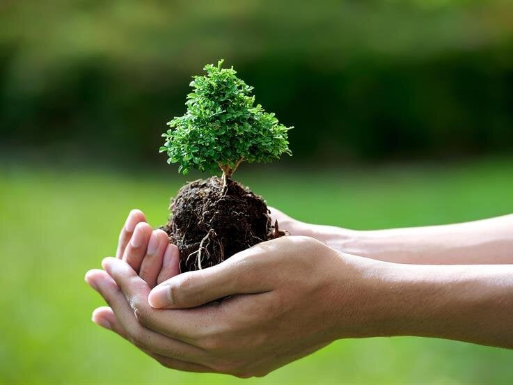 Grief & Healing Countryside Funeral Home Fredonia, KS