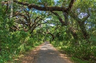 Benefits of Cremation in Davie, Florida