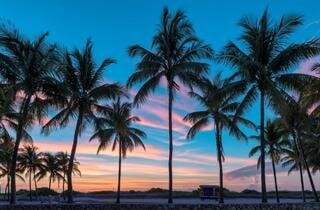 Benefits of Cremation in Miami, Florida