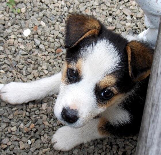 Reviews & Testimonials