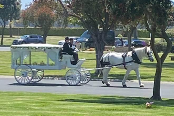 Horse Drawn Carriage