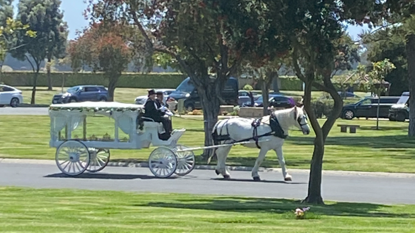 Service Enhancements