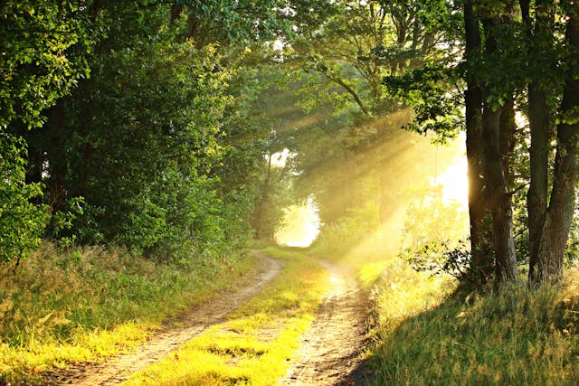 A Full-Service Vancouver, WA Funeral Home and Cremations Families Trust