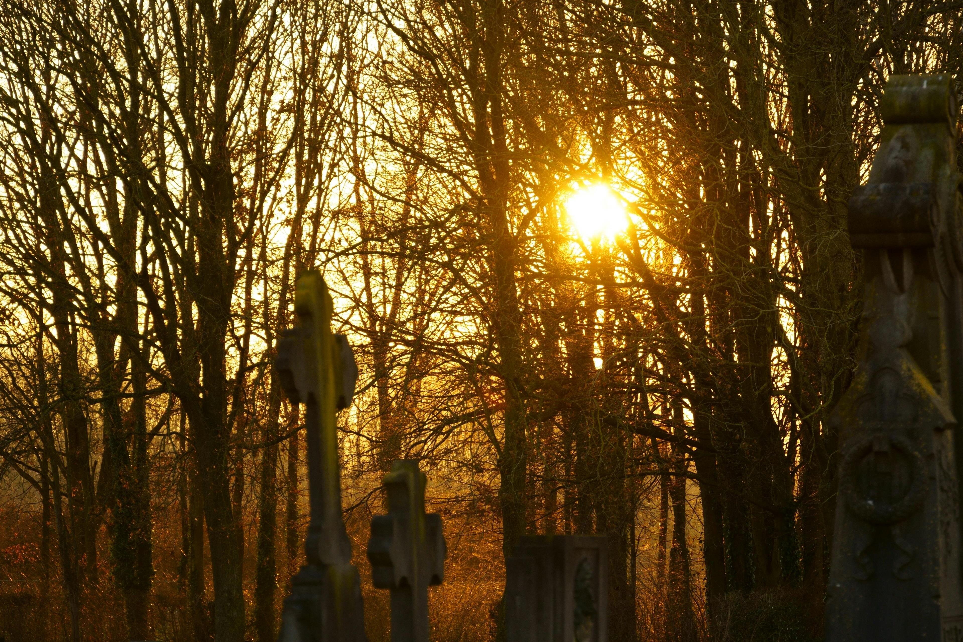 view of Ridgefield, WA cemetery at sunset 