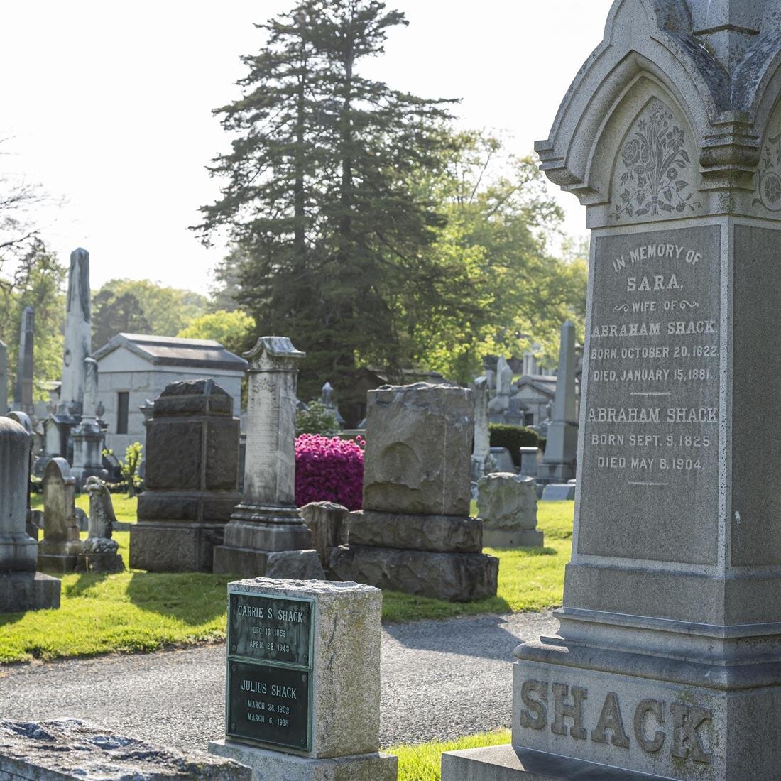 A cemetery with tombstones and headstones