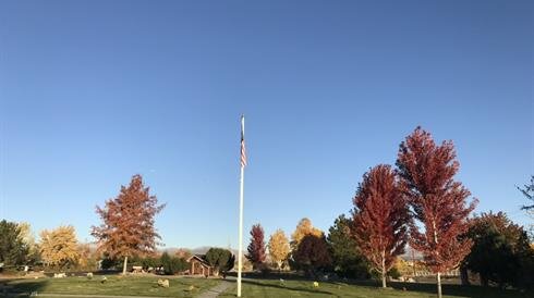 A flag pole in a park