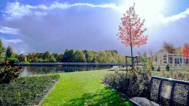 Albany, NY Cremation Services Where Life and Legacy Are Honored