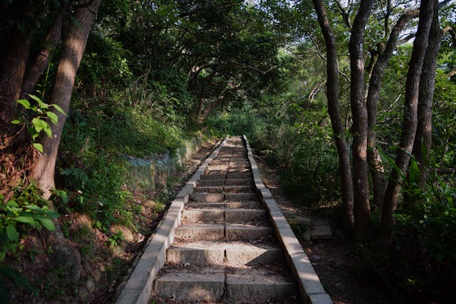 Stone steps leading through a shaded forest pathway symbolizing healing and remembrance for families in Albany, NY