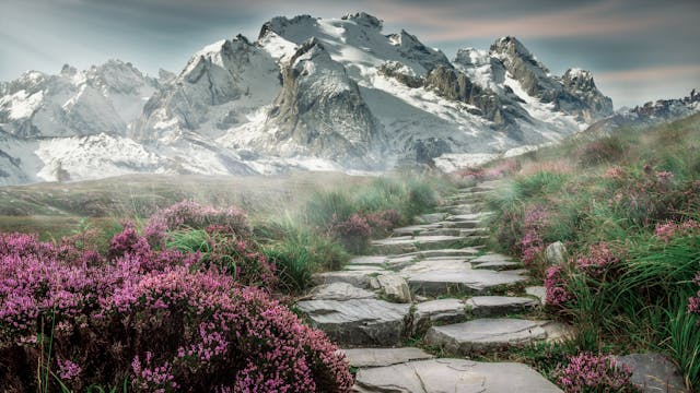 Burial Services mountain path reflecting care by Schenectady, NY cremation services