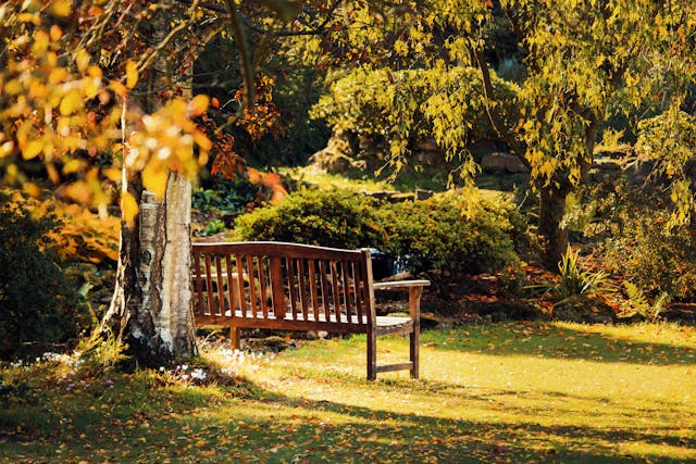 Design a Healing Experience park setting at Schenectady, NY funeral home