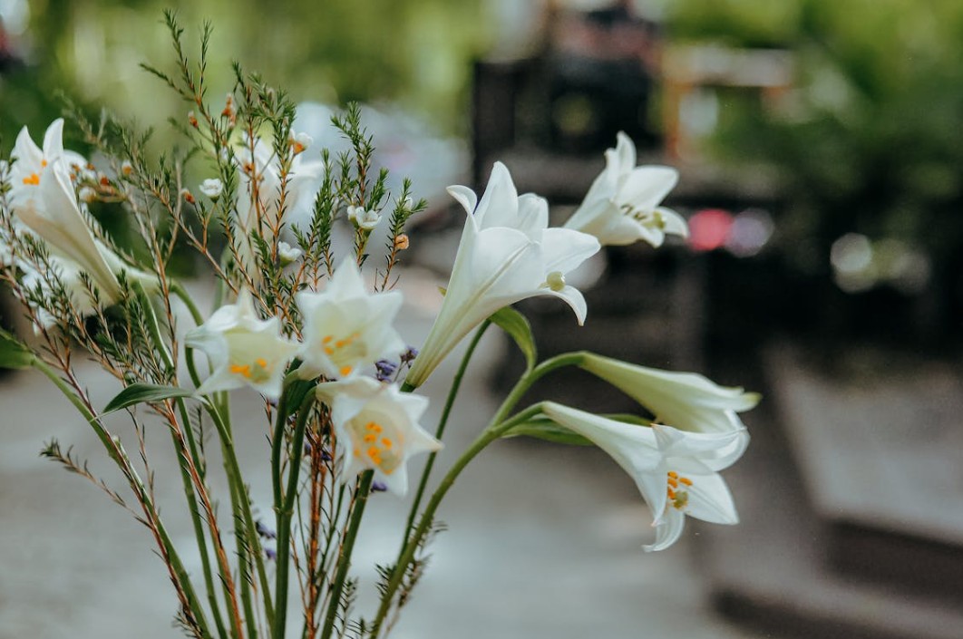 White lilies for a memorial funeral and cremation service in Deltona, FL
