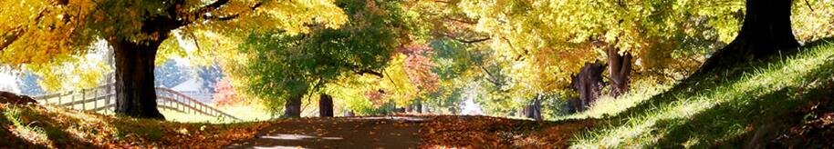 About Us | Bond Funeral Directors Inc.