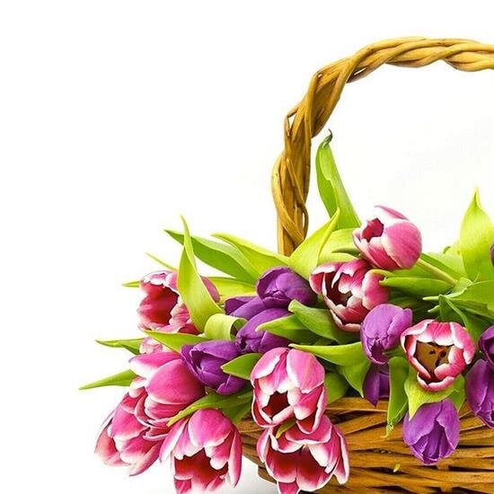 Send Flowers & Gifts