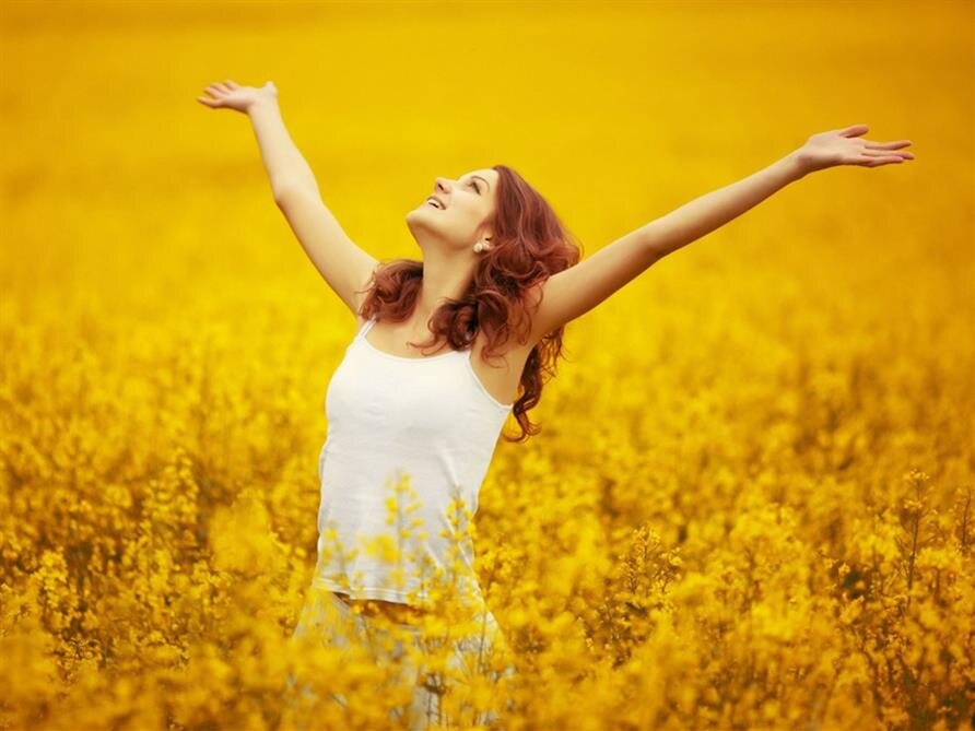 Explore the Possibilities