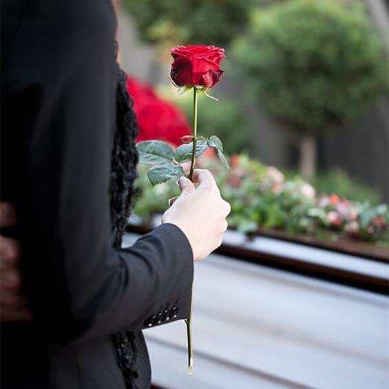 A person in black holds a red rose by a coffin in a serene garden.