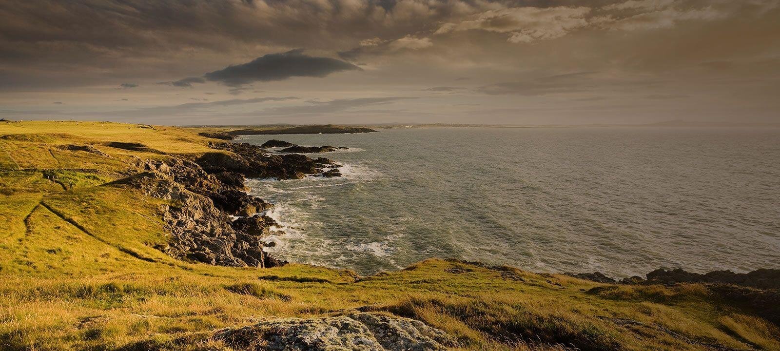 Choices to Think About