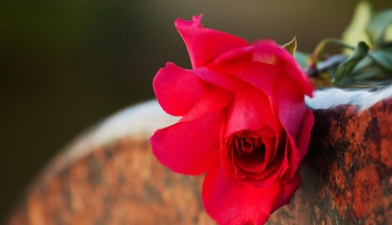 About Us | Brown - Pennington - Atkins Funeral Home - Hartsville, SC