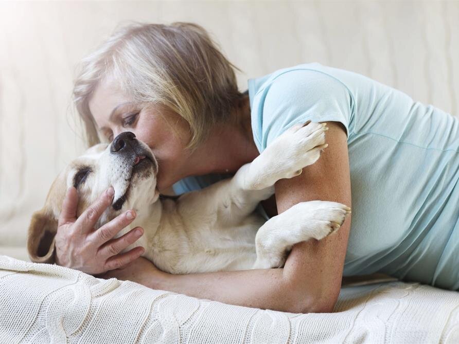 Create A Pet Tribute