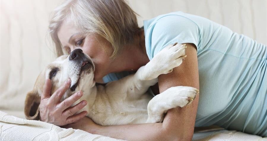 Create A Pet Tribute