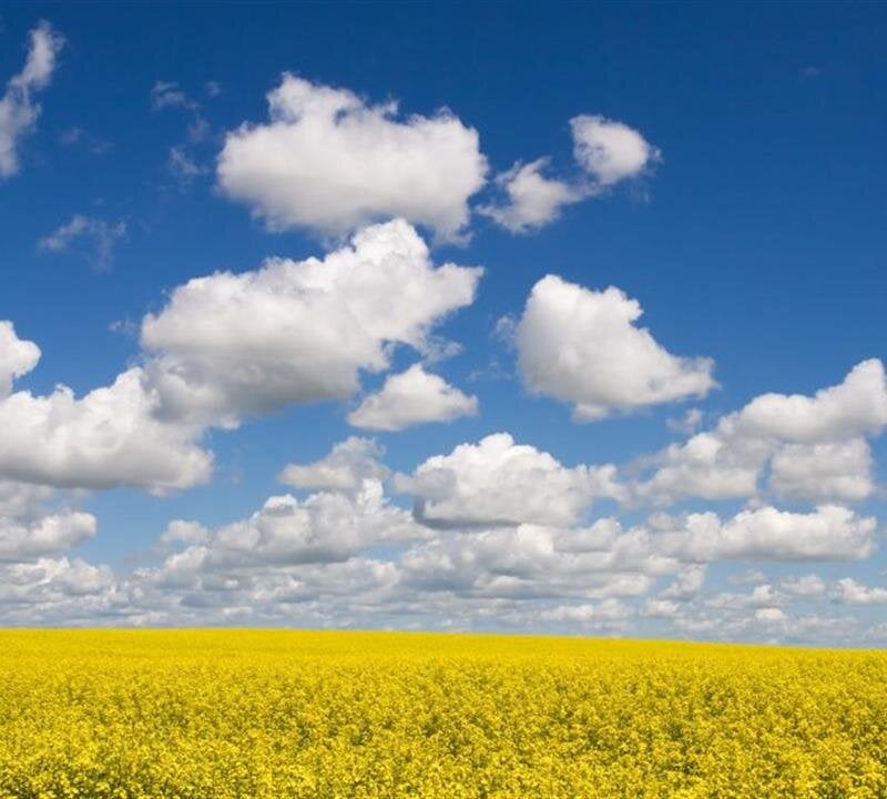 Design A Healing Experience