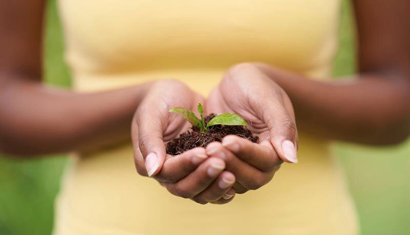 Grief Support Resources