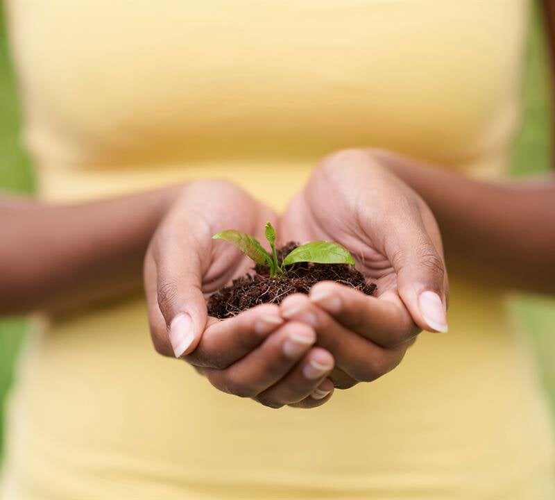 Grief Support Resources