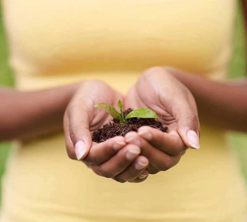 Grief Support Resources