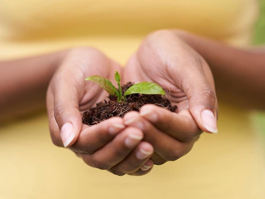 Grief Support Resources