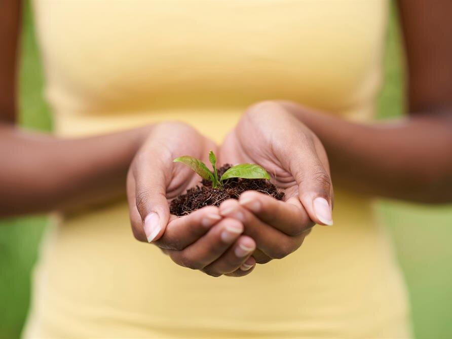 Grief Support Resources