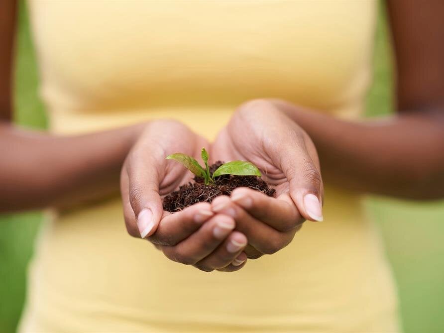 Grief Support Resources