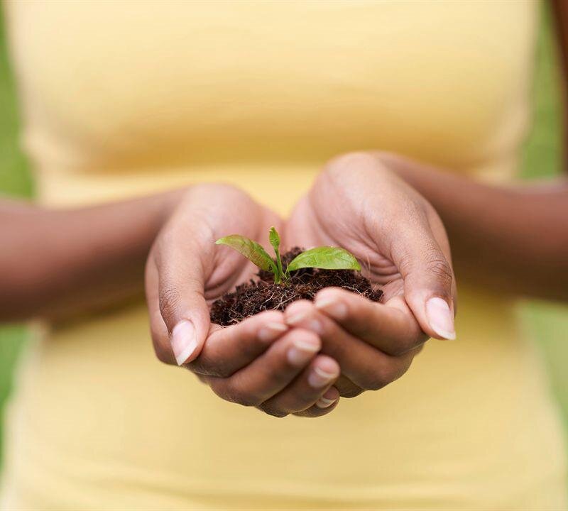 Grief Support Resources