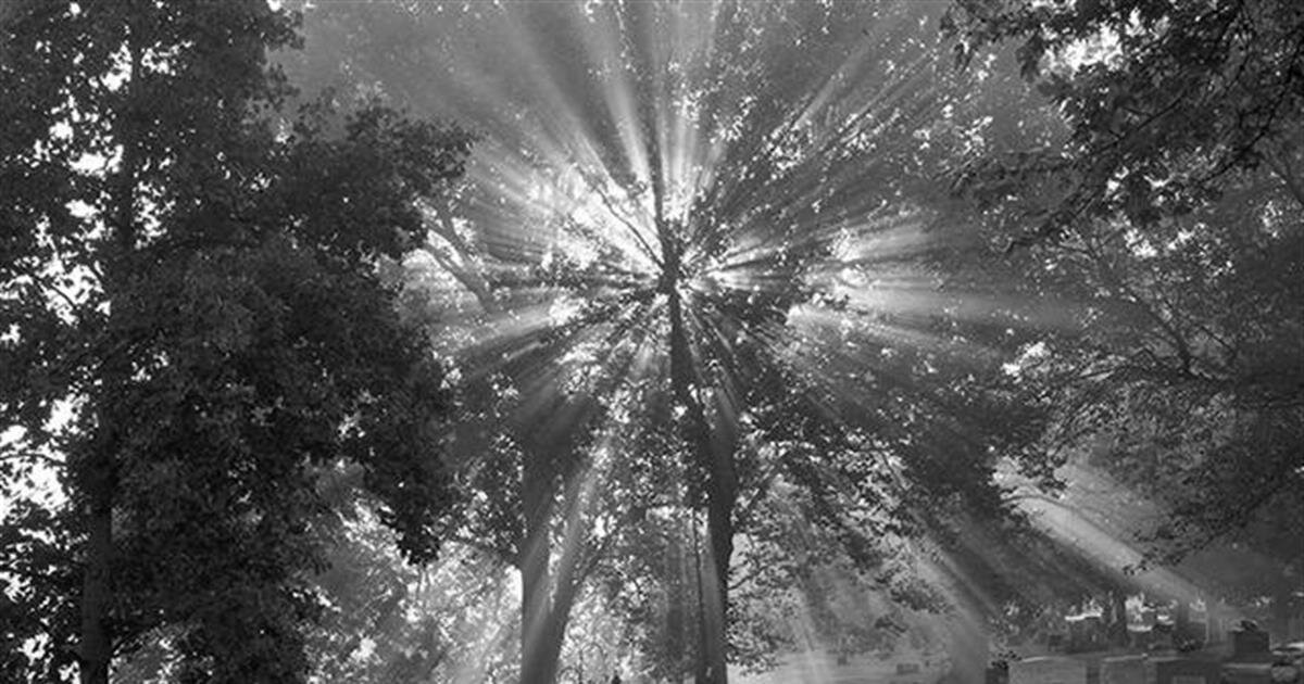 Burials Harrod Brothers Funeral Home Frankfort, KY