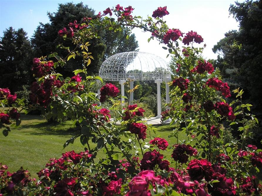 What We Do Stellato Funeral Homes Lyndhurst, NJ
