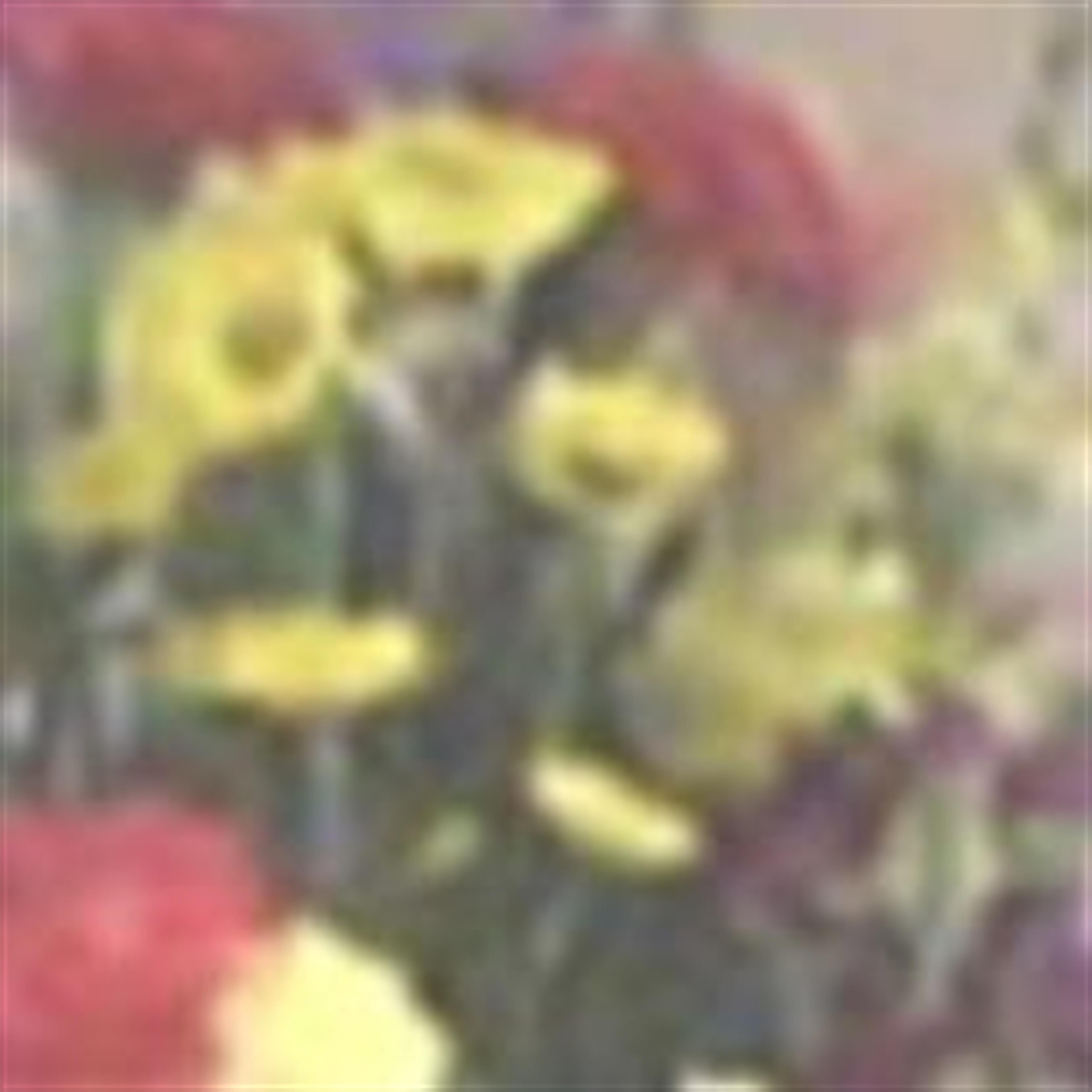 J C