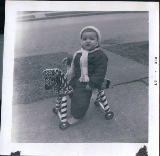 A baby on a toy horse
