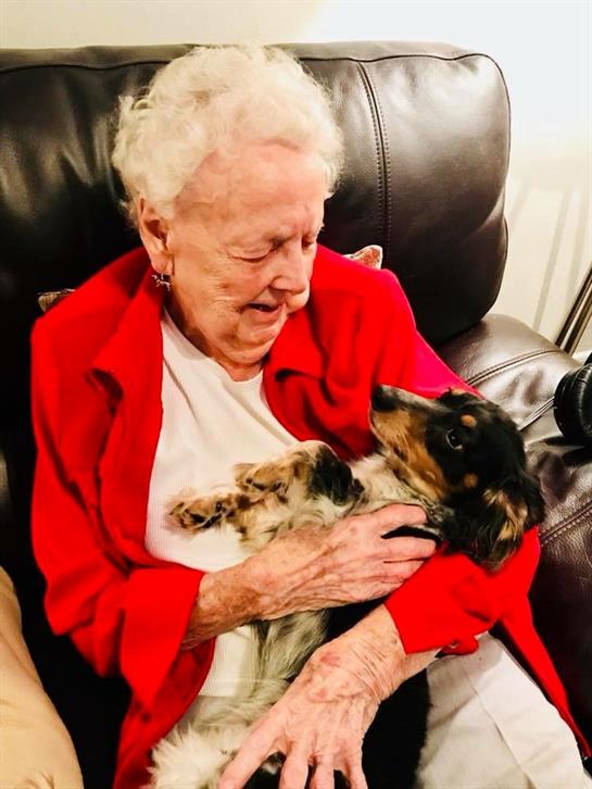 A senior woman sits comfortably in a leather chair, smiling as she holds a small dog in her arms.