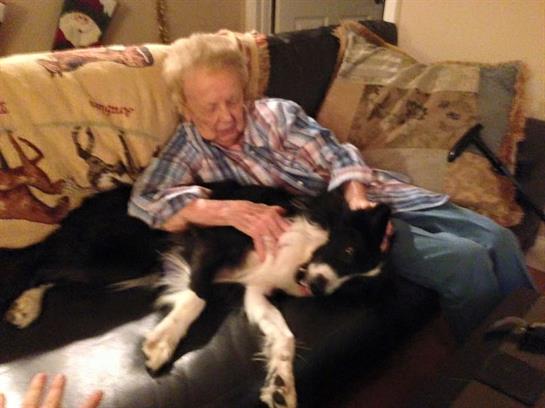 An elderly person relaxes on a couch while petting a black and white dog at home.