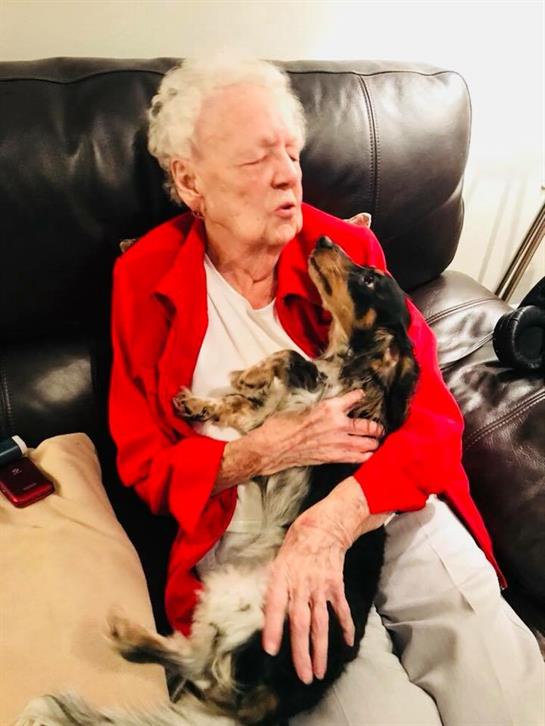 An elderly person cuddles a dog on the couch, sharing a loving moment in the afternoon.