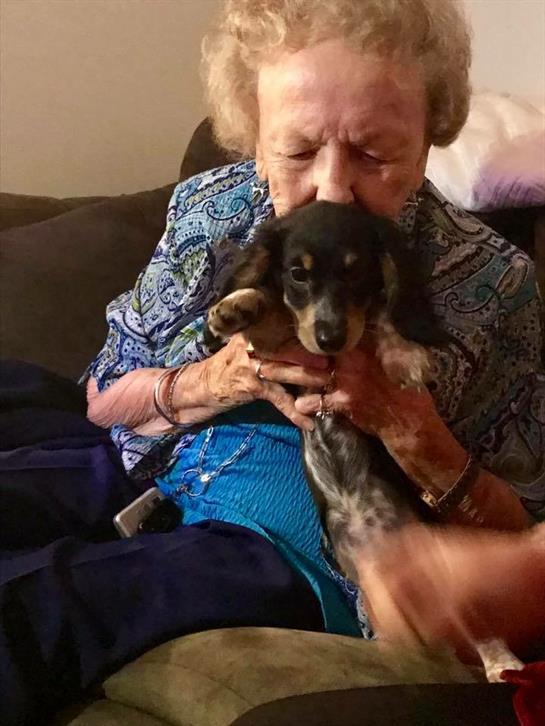 An elderly woman sits on a couch and holds a small dog close while smiling.