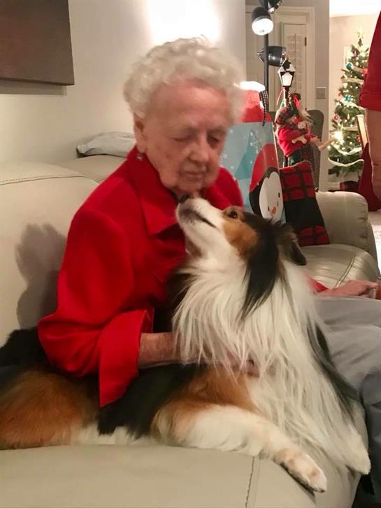An elderly woman enjoys time with her collie dog in a living room decorated for the holidays.