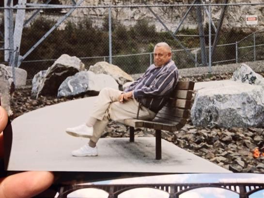 A man relaxes on a bench in a peaceful park, with rocks and greenery around him, enjoying the day.