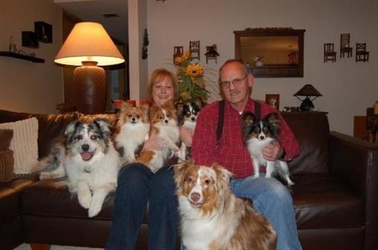 Two people sit on a couch surrounded by several dogs enjoying a warm evening at home.