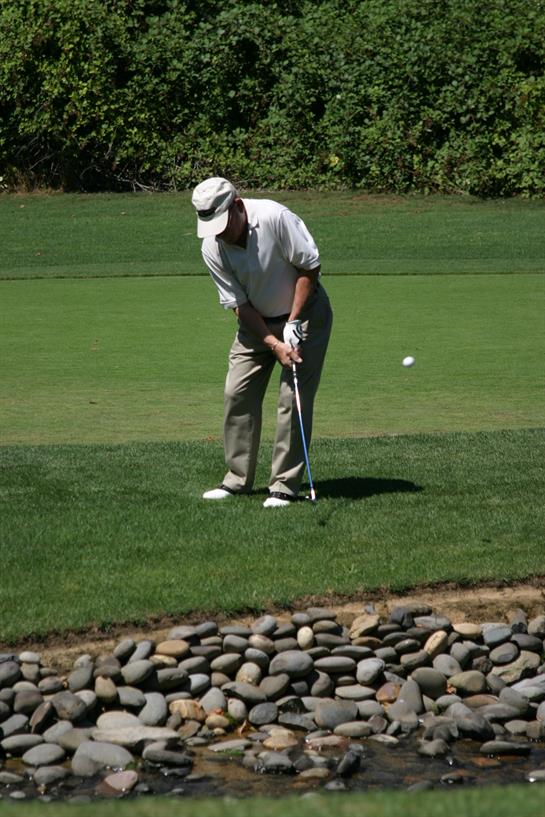 Golfer focuses as he prepares to hit the ball from the grassy area with stones nearby.