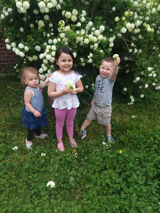 Three children are joyfully playing outside in a garden filled with white flowers.