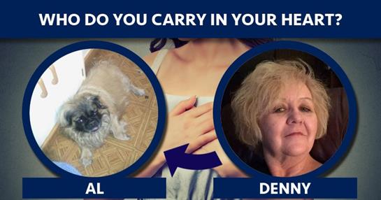 A lightweight dog lies peacefully alongside a person’s hand on their heart, showing affection.