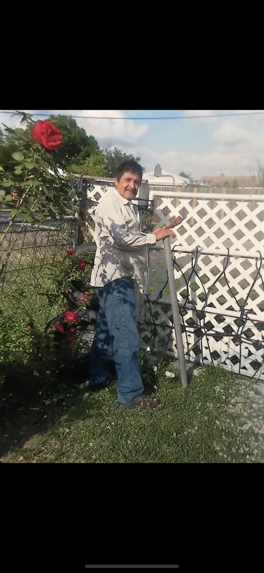 An elderly man smiles while working on his rose garden near a white picket fence.