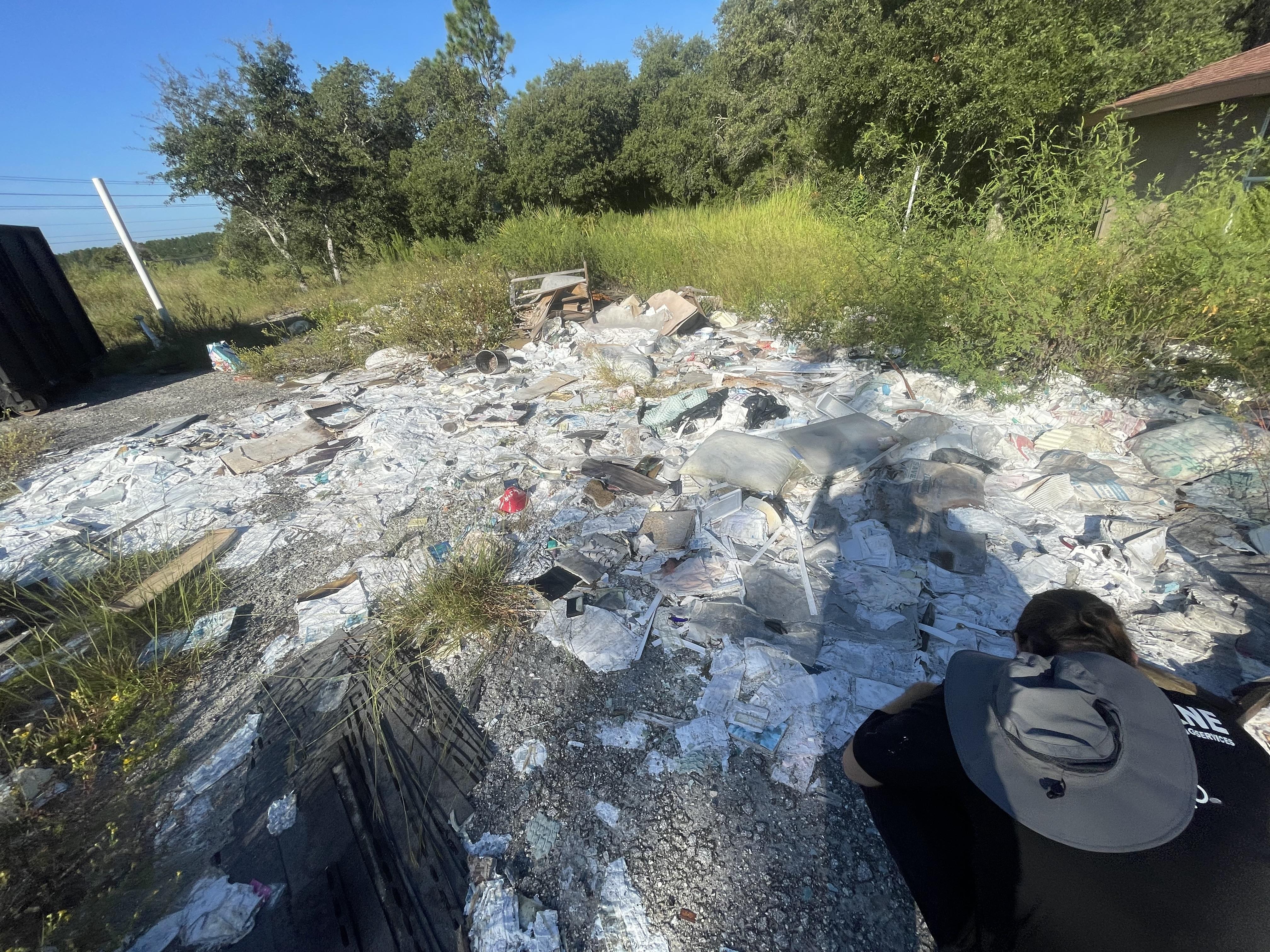 Sunlight shines down on scattered rocks in a grassy area surrounded by trees.
