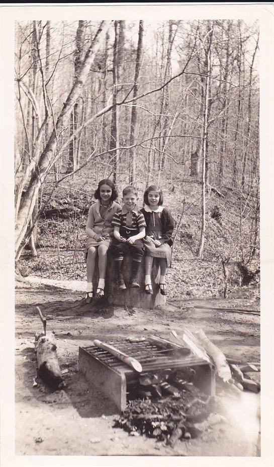 Three children are seated on a log near a campfire in a forest during a sunny afternoon.