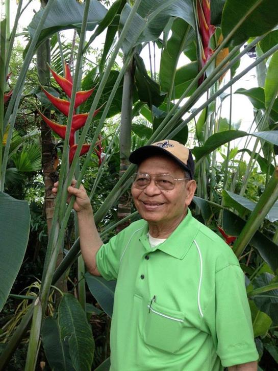 A smiling elderly man stands among lush green foliage and colorful flowers, enjoying nature.