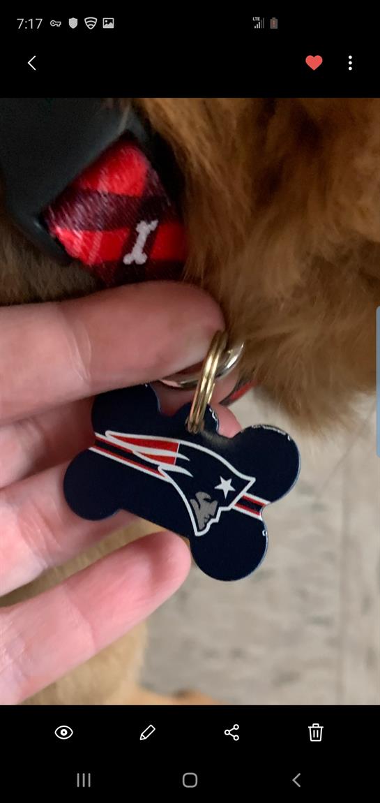 A hand holds a pet tag with a team logo, while a furry creature is nearby in a warm environment.
